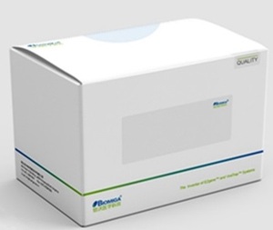 病毒纯化试剂盒Virus Purification Kit
